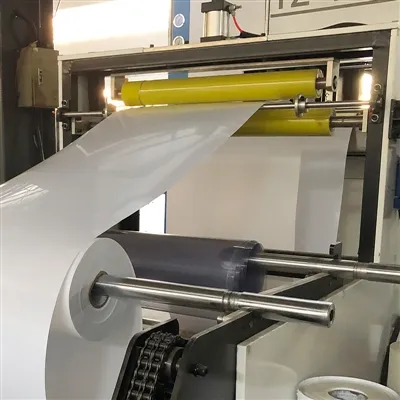 Fabricant Fiche en plastique entièrement automatique / négatif et pression po...